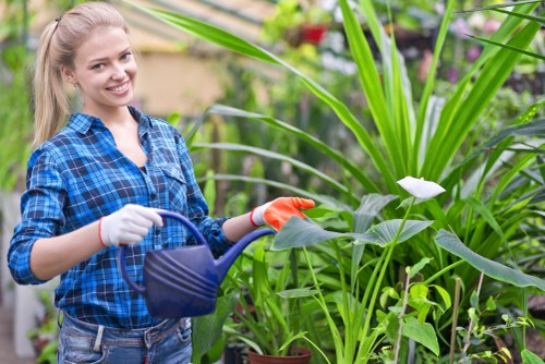 Maintaining newly installed turf with proper care