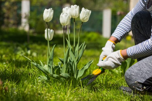 Choosing the right type of lawn turf