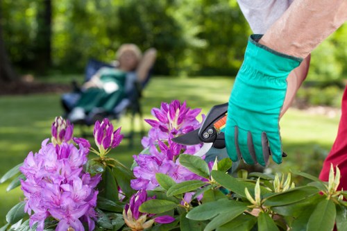 Our mission statement with lush green lawn background